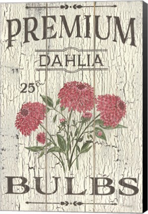 Framed Dahlia Bulbs Print