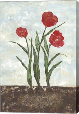 Framed Red Tulips Print