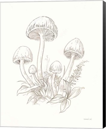 Framed Nature Sketchebook IX Print