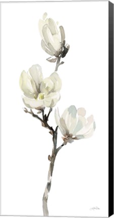 Framed White Magnolia I Print