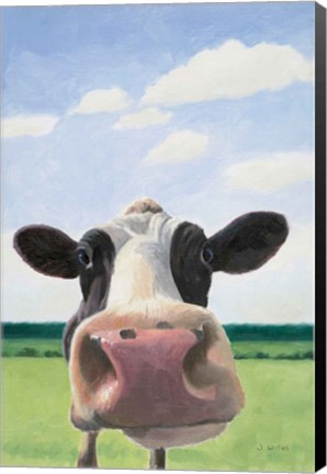 Framed Funny Cow Print