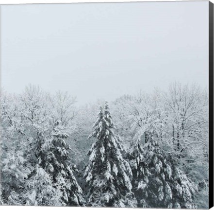 Framed Snowshoe Hill Deep Crop Print