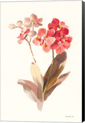 Framed Autumn Orchid II Print