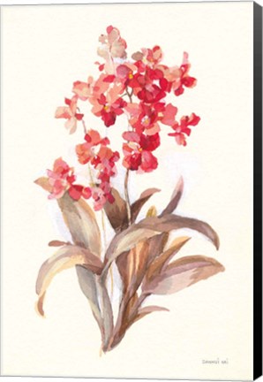 Framed Autumn Orchid I Print