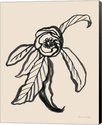 Framed Ink Sketch Flower Print