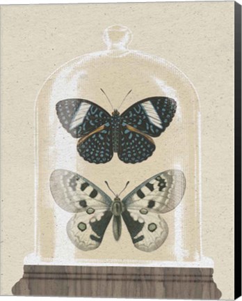 Framed Cottage Butterflies I Print