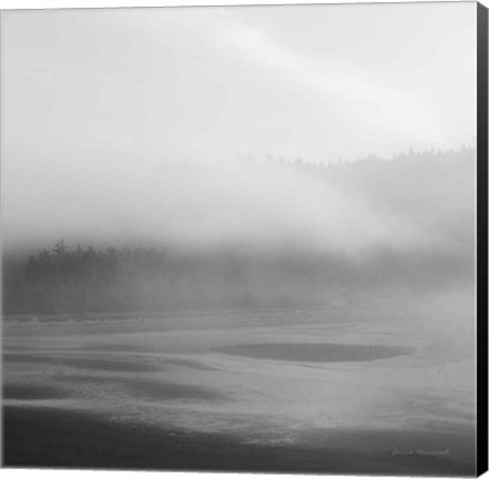 Framed Salt Creek I Print