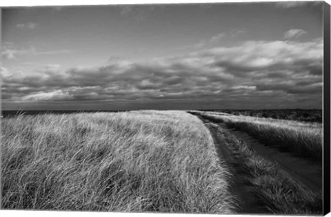 Framed Road to the Beach Print