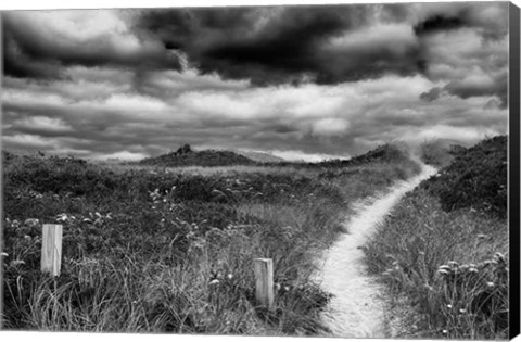 Framed Nantucket Pathway Print