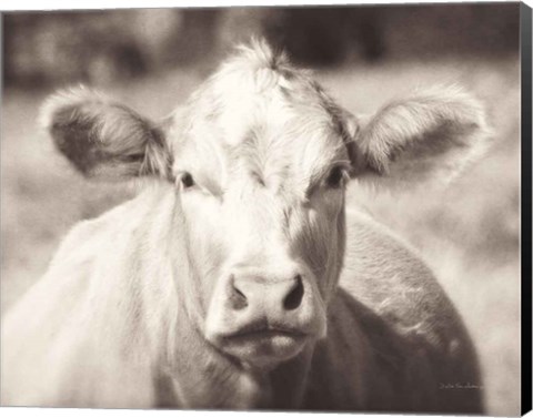 Framed Pasture Cow Neutral Print