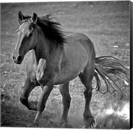 Framed Horse Runner Print