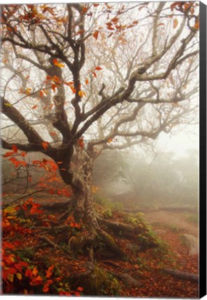 Framed Tree of Seasons Print