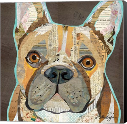 Framed French Bulldog Print