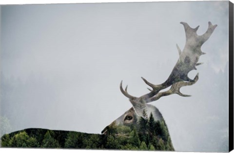 Framed Antler Double-exposed Print