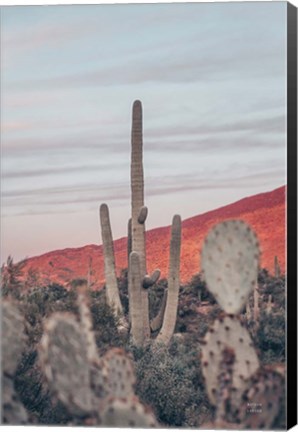 Framed Sunsets and Saguaros II Print