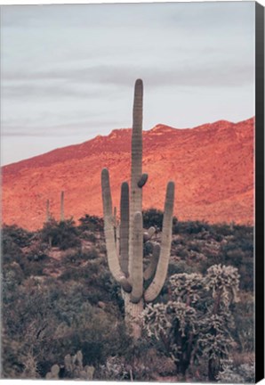 Framed Sunsets and Saguaros I Print