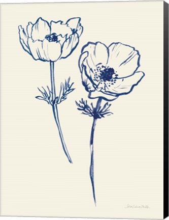 Framed Ink Anemones I Print