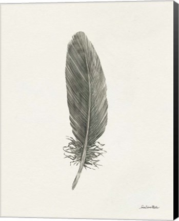 Framed Springtime Feather II Print