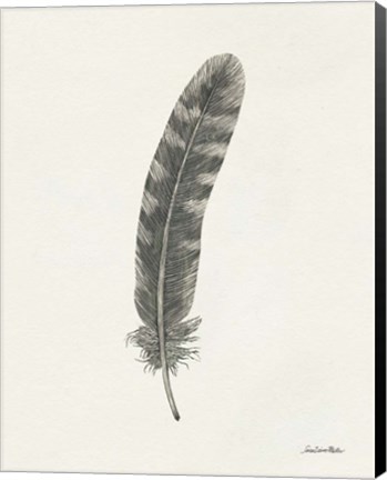 Framed Springtime Feather I Print