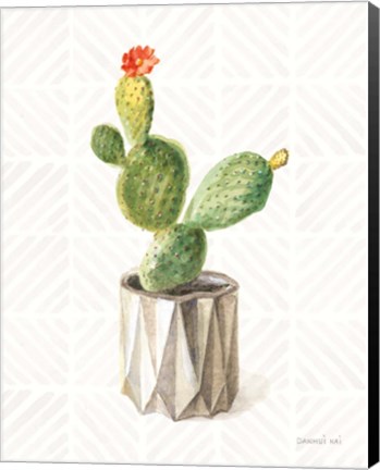 Framed Desert Greenhouse XII Print