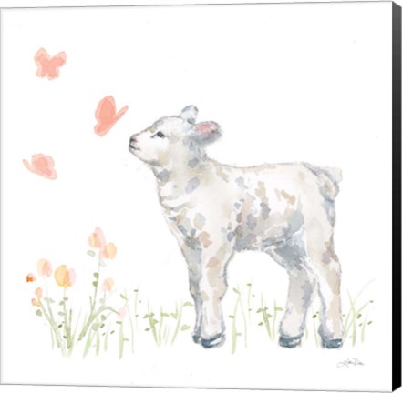 Framed Spring Lamb IV Print