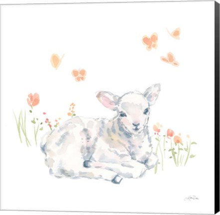 Framed Spring Lambs III Print