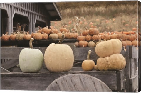 Framed Autumn Pumpkin Harvest Print