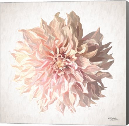 Framed Sweet Dahlia Print