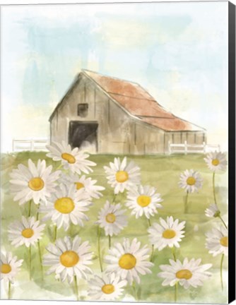 Framed Field of Daisies Print