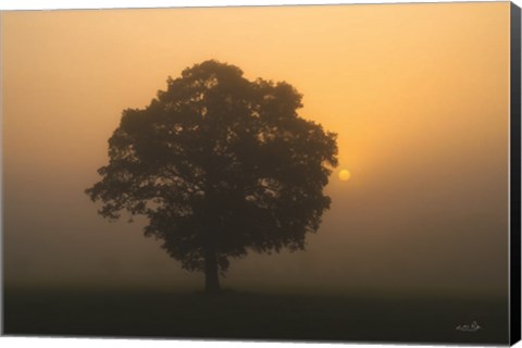 Framed Solitary Oak Print