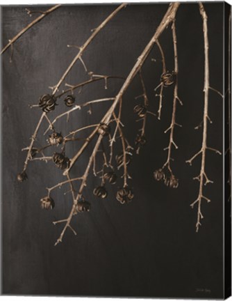 Framed Branches in Noir II Print