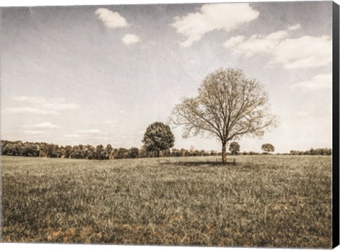 Framed Together in the Fields I Print