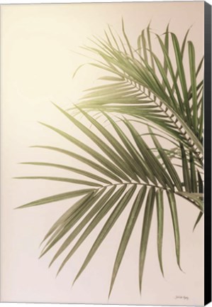 Framed Sunkissed Palm Print