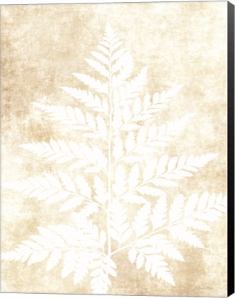 Framed Fern Frond 3 Print