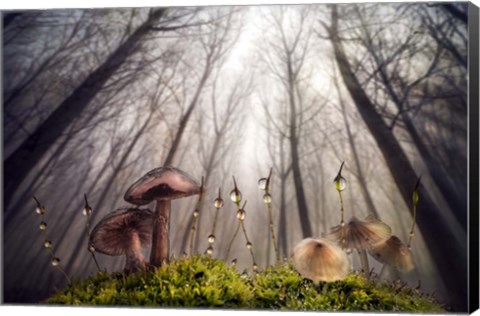 Framed Small and Giant Creatures of the Woods Print