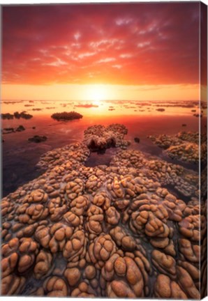 Framed Low Tide on the Lagoon of Saint Leu Print