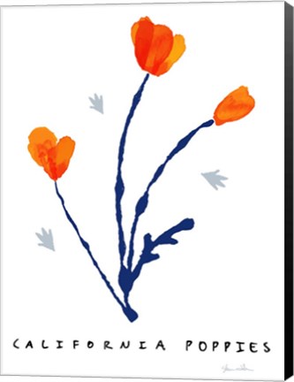 Framed California Poppies Print