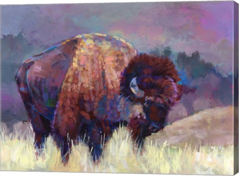 Framed Buffalo Roam Print