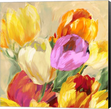 Framed Colorful Tulips I Print