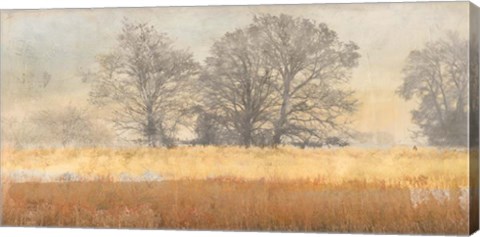 Framed Trees in the Mist Print