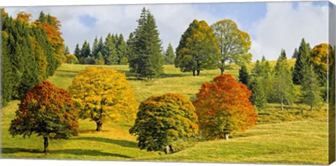 Framed Autumn in Quebec Print