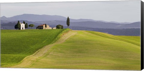 Framed Val d&#39;Orcia, Siena, Tuscany (detail) Print