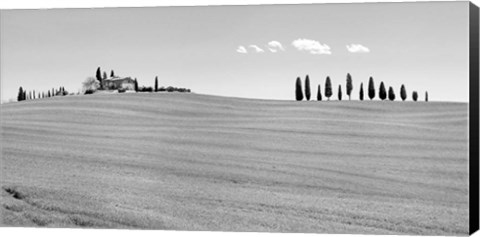 Framed Strada del Brunello, Tuscany (BW) Print