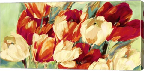 Framed Red &amp; White Tulips Print