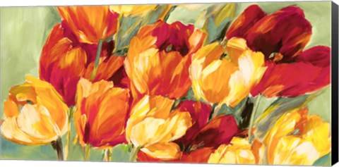 Framed Field of Tulips Print