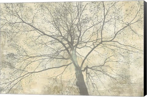 Framed Below My Tree II Print