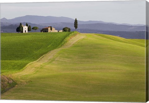 Framed Val d&#39;Orcia, Siena, Tuscany Print