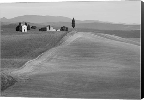 Framed Val d&#39;Orcia, Siena, Tuscany (BW) Print