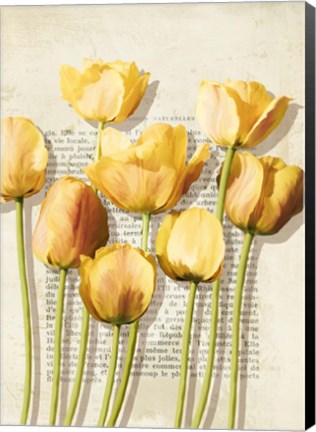 Framed Tulipes et Histoires Print