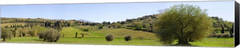 Framed Val d&#39;Orcia, Siena, Tuscany Print